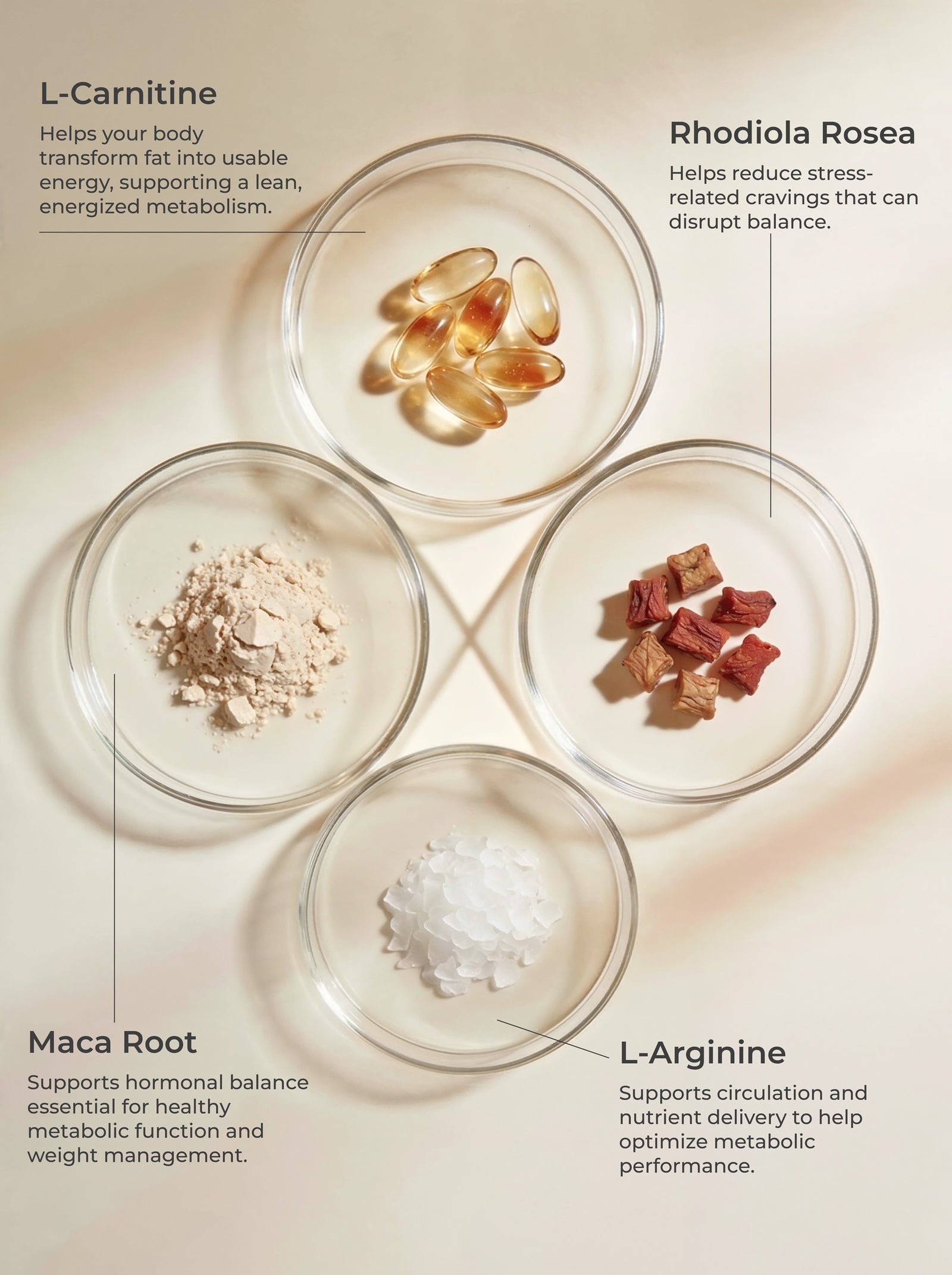 THE SCIENCE BEHIND THE RITUAL